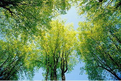 《上古4：重制版》玩家沉迷四处探索 主线湮灭之门关闭率只有4成